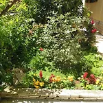 Simicev Zadar